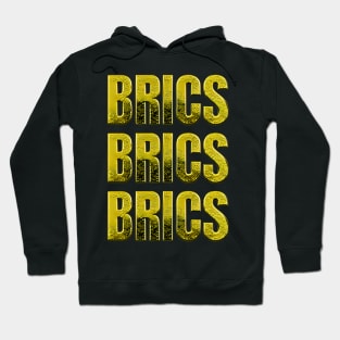 Gold ingots forming the word BRICS Hoodie